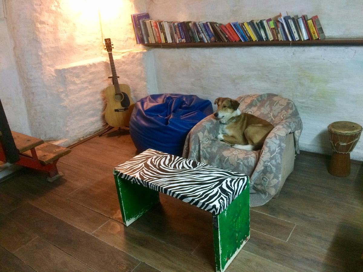 Green Studio Hostel 贝尔格莱德 外观 照片